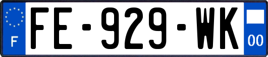 FE-929-WK