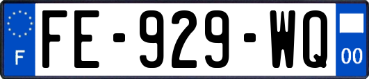FE-929-WQ