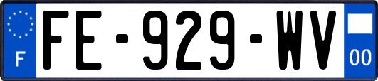 FE-929-WV