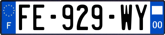 FE-929-WY