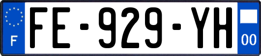 FE-929-YH