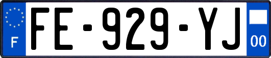 FE-929-YJ