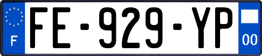 FE-929-YP