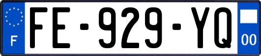 FE-929-YQ
