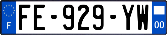 FE-929-YW