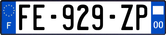 FE-929-ZP