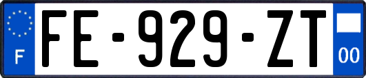 FE-929-ZT