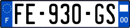FE-930-GS