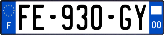 FE-930-GY