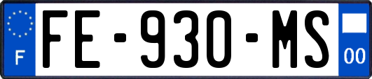 FE-930-MS
