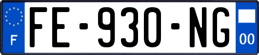 FE-930-NG