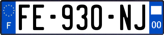 FE-930-NJ