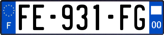 FE-931-FG