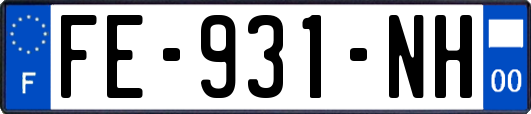 FE-931-NH