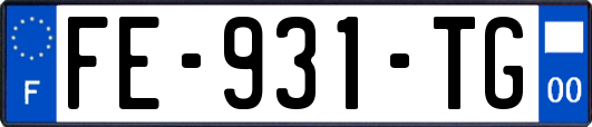 FE-931-TG