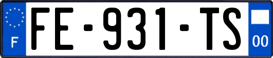 FE-931-TS