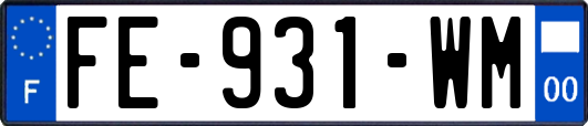 FE-931-WM