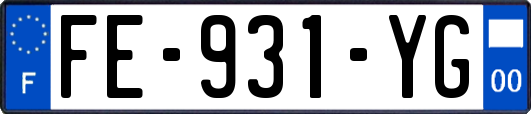 FE-931-YG
