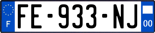 FE-933-NJ