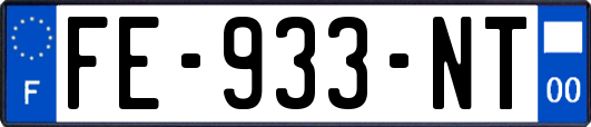 FE-933-NT