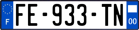 FE-933-TN