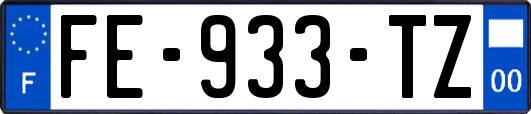 FE-933-TZ