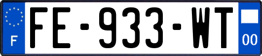 FE-933-WT