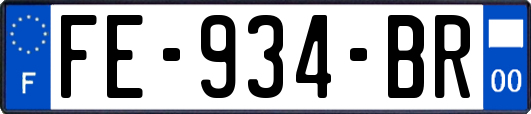 FE-934-BR