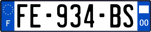 FE-934-BS