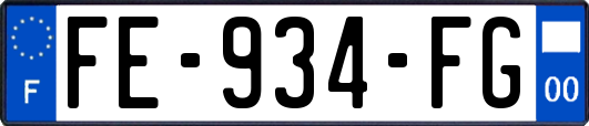 FE-934-FG