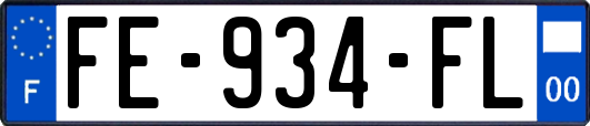 FE-934-FL