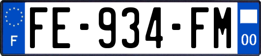 FE-934-FM