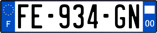 FE-934-GN