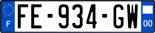 FE-934-GW