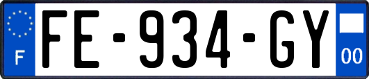 FE-934-GY
