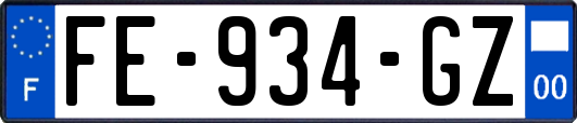 FE-934-GZ