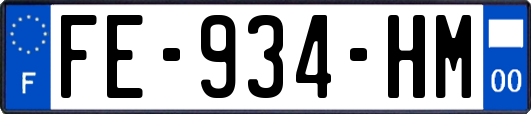 FE-934-HM