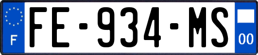 FE-934-MS