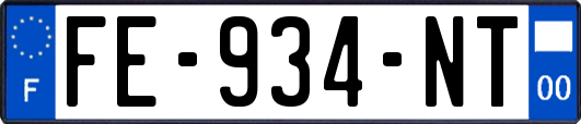 FE-934-NT