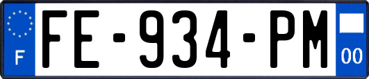 FE-934-PM