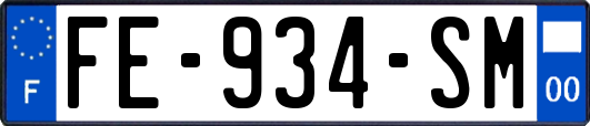 FE-934-SM