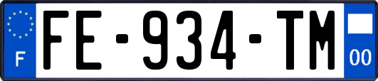 FE-934-TM