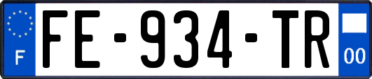 FE-934-TR
