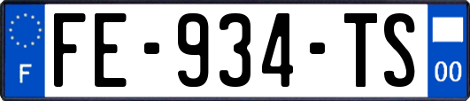 FE-934-TS