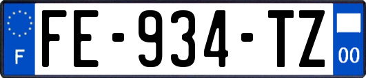 FE-934-TZ