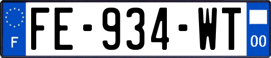 FE-934-WT