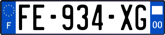 FE-934-XG