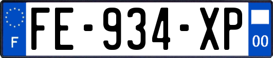 FE-934-XP