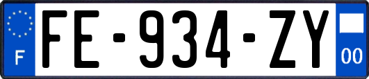 FE-934-ZY