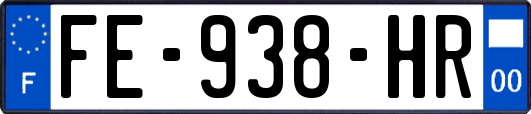 FE-938-HR